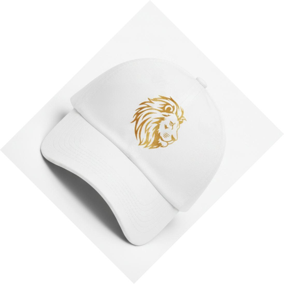 BeALion-001 - image 3
