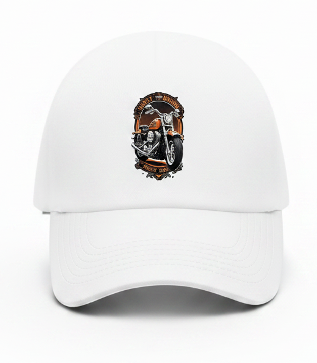 BikeHARLEY-001-image2